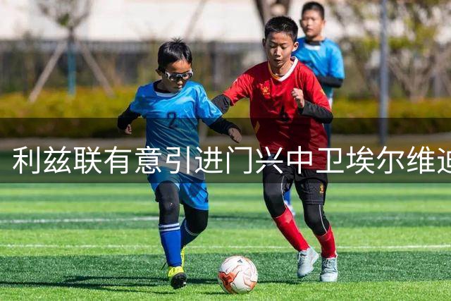 利兹联有意引进门兴中卫埃尔维迪，29岁后卫合同明夏到期