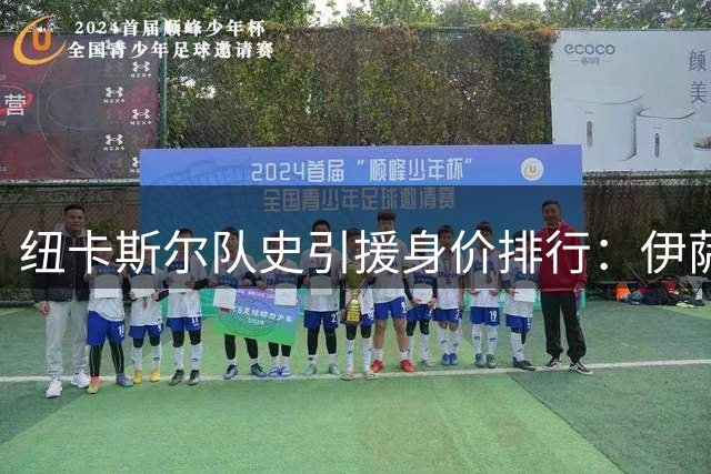 纽卡斯尔队史引援身价排行：伊萨克居首，新援冈萨雷斯跻身前六